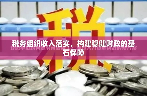 税务组织收入落实,构建稳健财政的基石保障