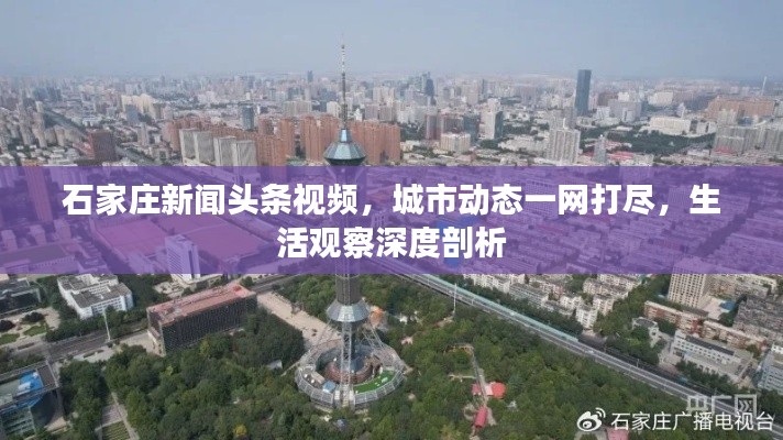 石家庄新闻头条视频,城市动态一网打尽,生活观察深度剖析