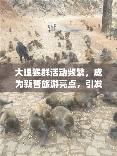 pangaojiegui 第5页