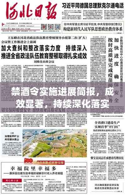 禁酒令实施进展简报,成效显著,持续深化落实