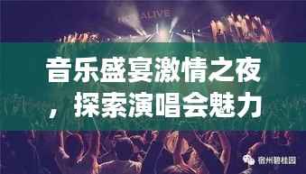 音乐盛宴激情之夜,探索演唱会魅力之旅