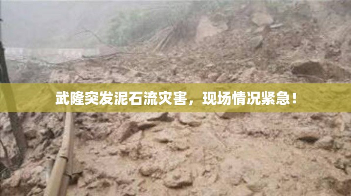 武隆突发泥石流灾害,现场情况紧急!