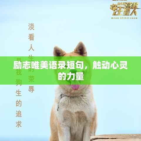 励志唯美语录短句,触动心灵的力量