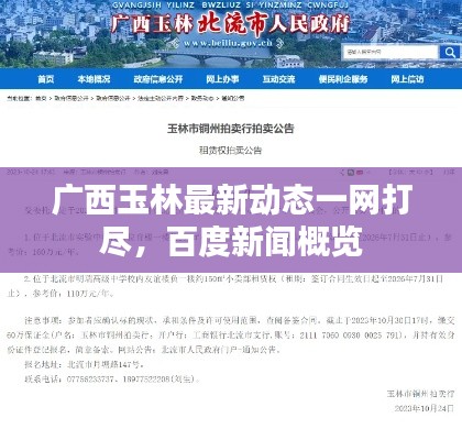 广西玉林最新动态一网打尽,百度新闻概览